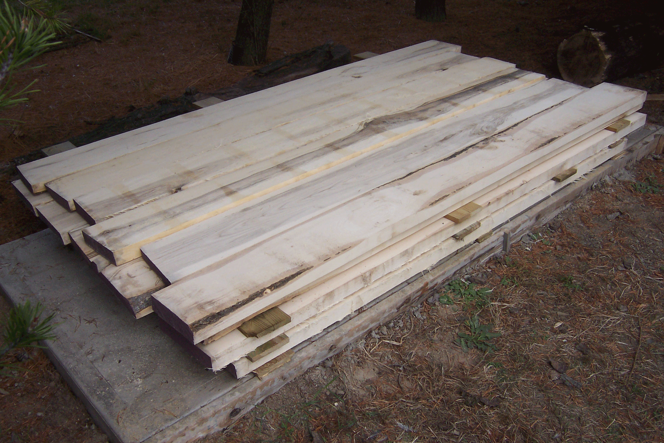 Air drying wood